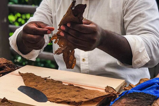 Cuban Cigar Master Class & Beach Break With Transfer - Convenient Transfer to and From the Venue