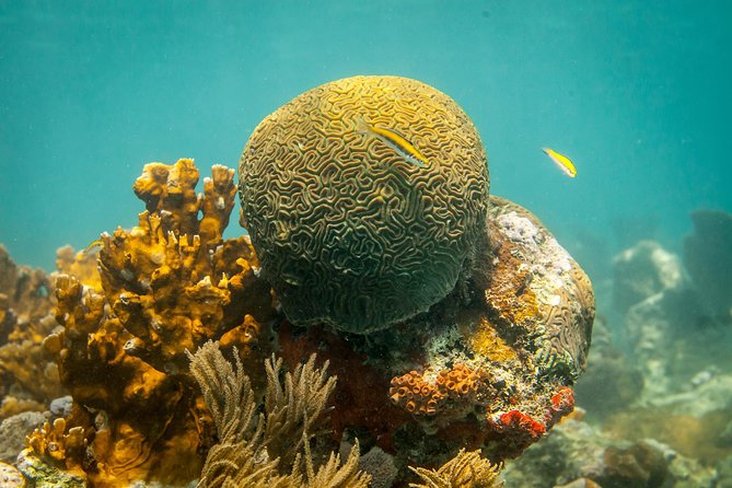 Culebra Day Trip by Catamaran From Fajardo - Positive Feedback and Recommendations
