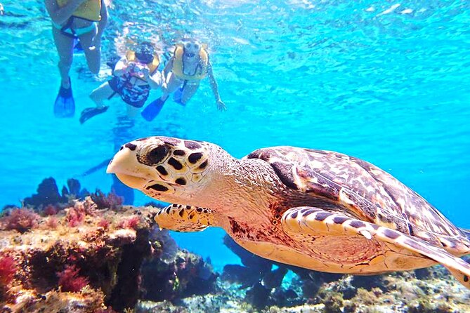 Custom Private Cozumel Jeep Tour: All-Inclusive Tour - Common Questions