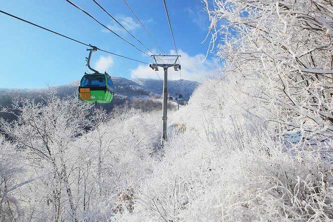 Daemyung Vivaldi Park Resort 2D 1N Hwacheon Ice-Fishing Festival - Dining and Cuisine