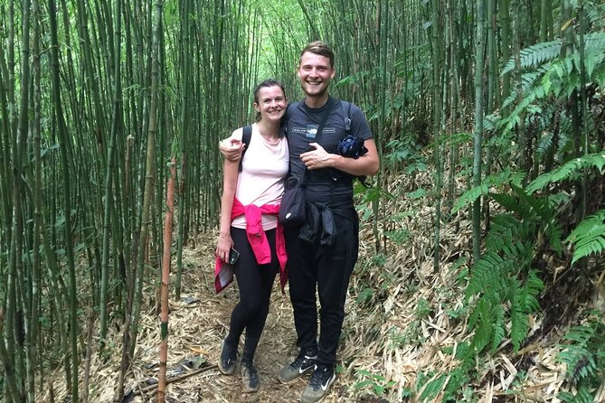 Daily Tour: Sapa Trekking in Muong Hoa Valley, Bamboo Forest - Affordable Tour Price: Starting From .00
