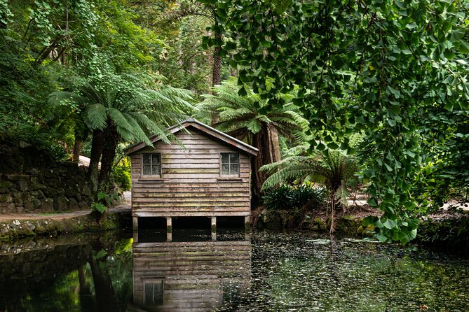 Dandenong Ranges Private Day Tour - The Sum Up