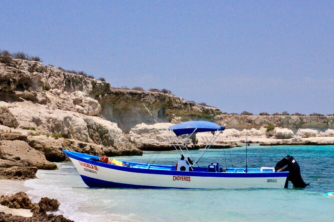 Danzante Island and Snorkel Tour From Villas Del Palmar Hotel - Directions to Villas Del Palmar Hotel