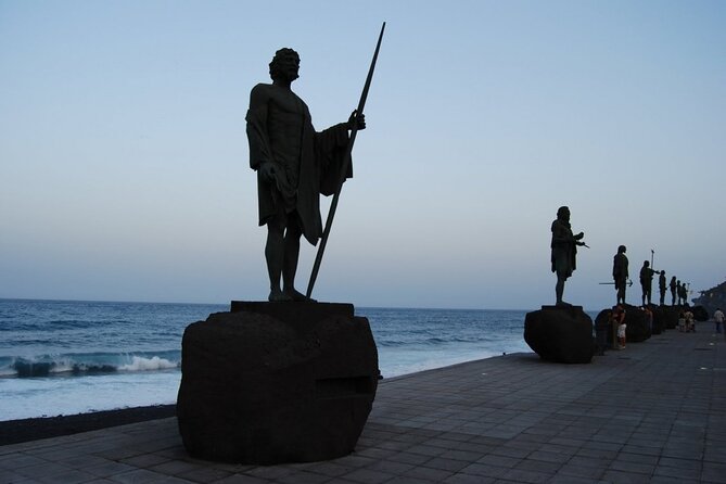 Day Tour With Official Guide Around the Island of Tenerife - Weather Requirement