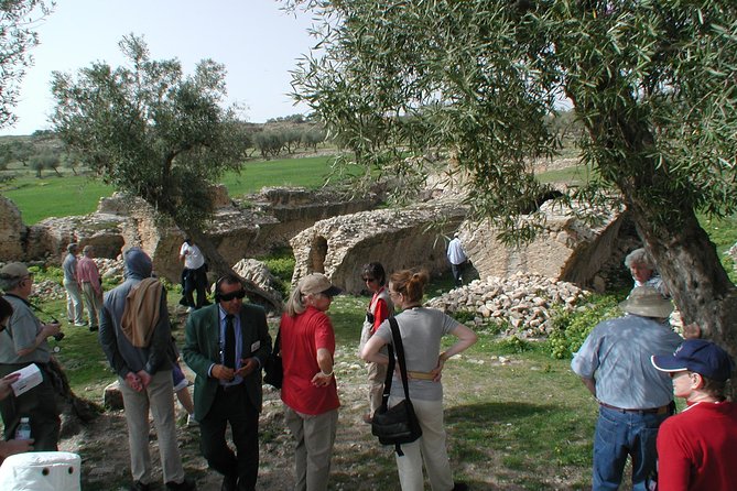 DAY TRIP TO Dougga & Bulla Regia , DEPARTURE FROM Tunis - Viator Help Center