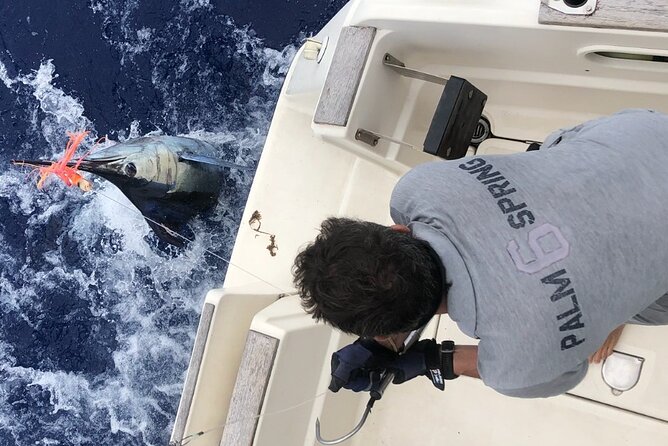 Deep Sea Fishing - Directions