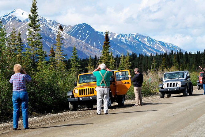 Denali Highway Jeep Excursion - Scenic Highlights