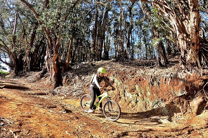 Descend in Mountain Bike in Northern Forests of Gran Canaria - Common Questions