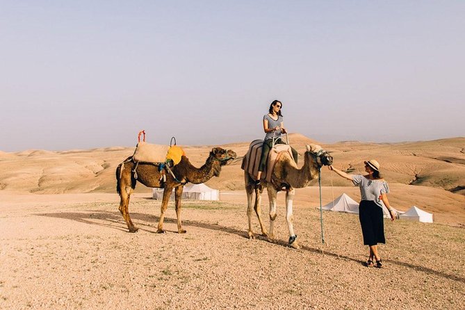 Desert Agfay Day Trip From Marrakech And Atlas Mountains & Camel Safari - Pricing and Booking Information for the Tour