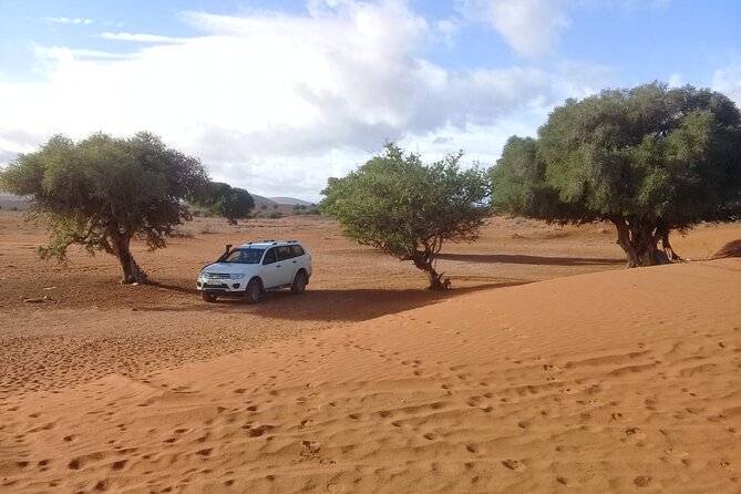 Desert and Ocean Private Day Tour - Safety and Security Measures