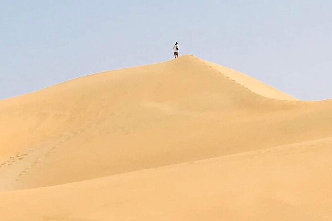 Desert and Wild Beach Day Trip With Meal - Common Questions