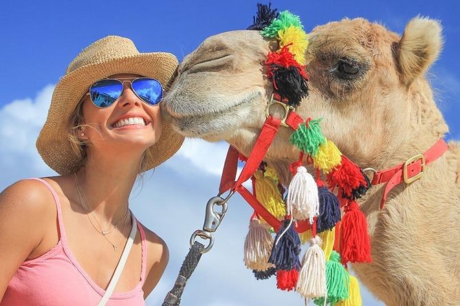 Desert & Sea, Camel Safari Tour in Los Cabos With Lunch - Tequila and Mezcal Tasting