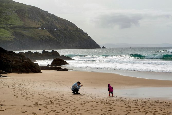 Dingle Peninsula Day Tour From Limerick: Including the Wild Altanic Way - Pricing and Booking Information