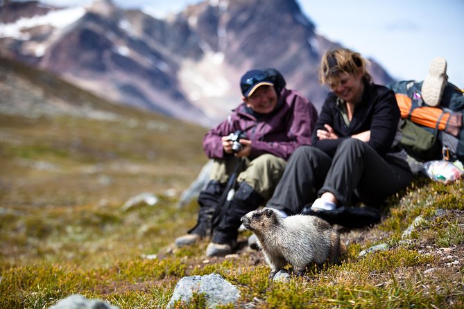 Discover Jasper and Its Wildlife - Common Questions