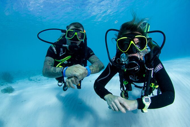 Discover Scuba Dive - Questions and Contact Information