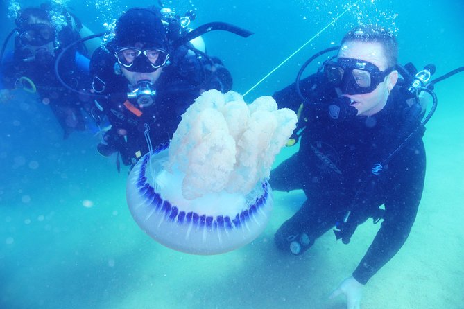 Discover Scuba Diving Around Los Cabos - Undersea Adventures Await in Los Cabos