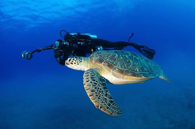 DISCOVER Scuba Diving Experience in Honolulu - Directions
