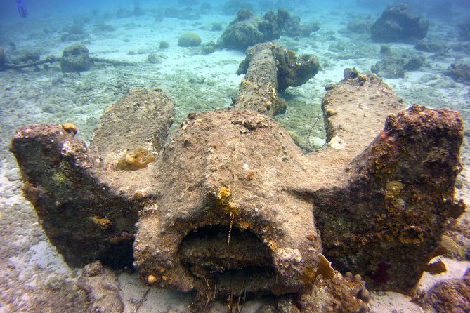 Discover Scuba Diving in Curacao - The Sum Up