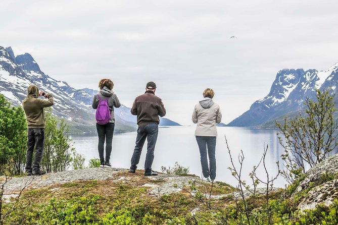 Discover the Fjords of Kvaloya - a Roadtrip Along Fjords and Fishing Villages - Highlights From Traveler Reviews