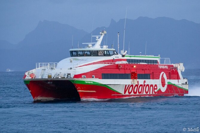 Discovering Moorea From Tahiti in 4x4 With the Ferry Terevau - Safety Guidelines and Precautions