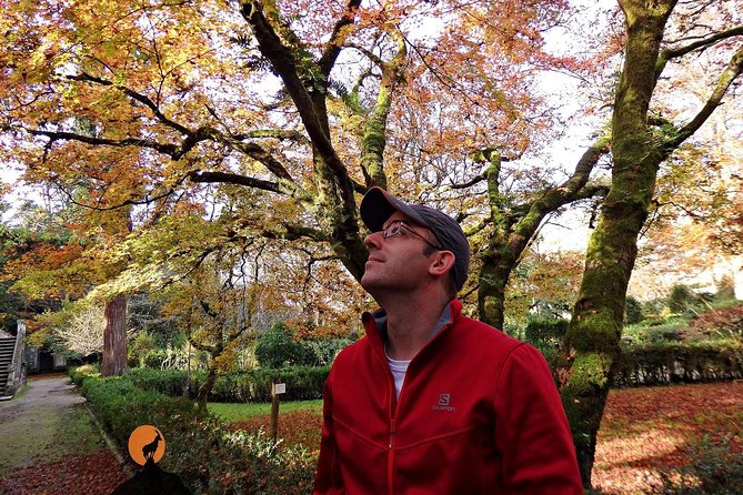 Discovering the Charms and Places of Coimbra - Common Questions