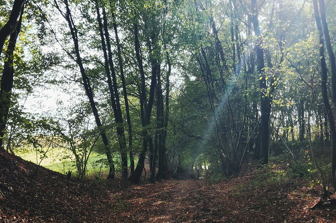 Discovery Hike and Tasting in the Heart of a Natural Park - The Sum Up