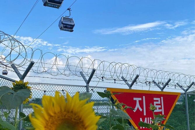 Dmz(Demilitarized Zone-Infiltration Tunnel) With North Korean Food - Traveler Reviews and Ratings