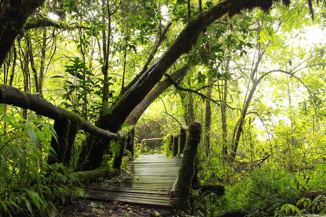 Doi Inthanon National Park and 2 Hours Hiking With Private Tour - How to Book the Private Tour