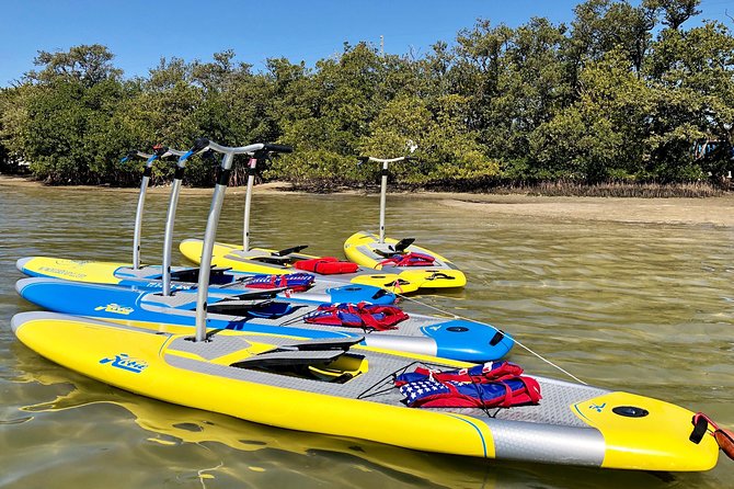 Dolphin & Manatee Watching Stand Up Pedalboarding Tour - Weedon Island Preserve