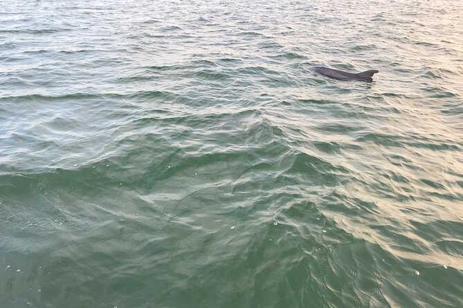 Dolphin Tiki Cruise Around Fort Myers Beach - Flexible Cancellation Policy and Excellent Reviews