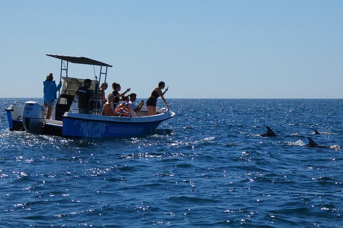 Dolphin Watching and Tour in the Arrábida Natural Park - The Sum Up
