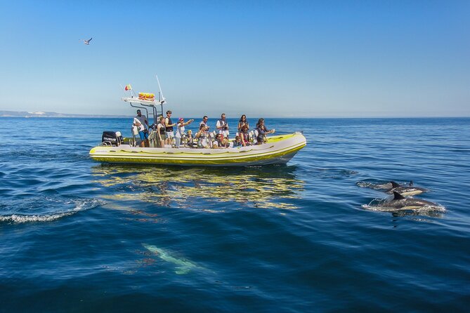 Dolphin Watching at the Arrabida (Lisbon Region) - Cancellation Policy
