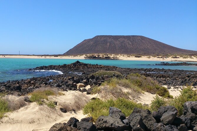 Dolphin Watching Cruise to Lobos Island - The Sum Up