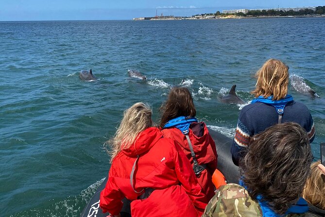 Dolphin Watching in Lisbon - Common Questions