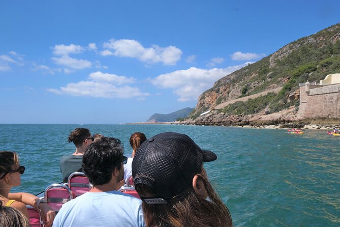 Dolphin Watching in Setúbal - Weather Conditions and Dolphin Watching