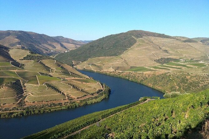 DOURO TOURS - in Pinhão 1 Day All Inclusive 135, DOURO Valley - Reviews and Ratings