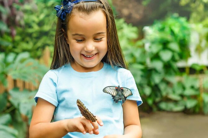 Dubai Butterfly Garden : Skip The Line / Mobile Voucher Accepted - Location and Accessibility