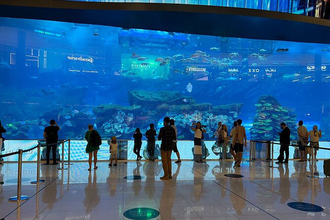 Dubai City Tour With Fountains Show Private From Abu Dhabi - Common Questions
