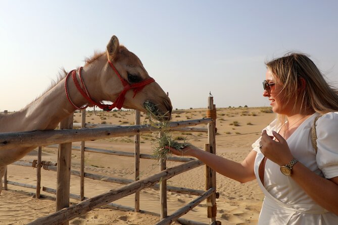 Dubai Evening Heritage Safari by Vintage G Class & Al Marmoom Oasis - Vintage G Class Travel Experience