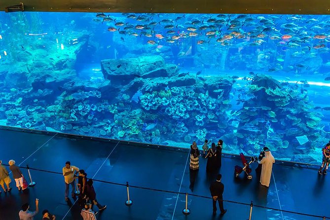 Dubai Mall Aquarium & Underwater Zoo As per Option Selceted - The Sum Up