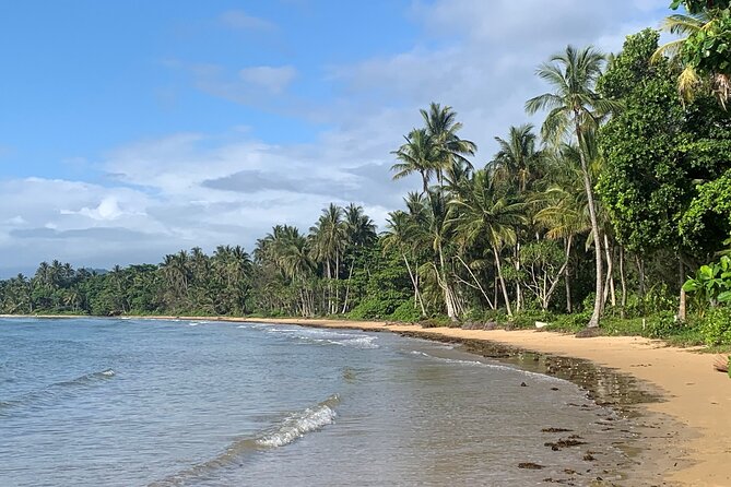 Dunk Island & Secret Cassowary Islands Cairns Day Return - The Sum Up