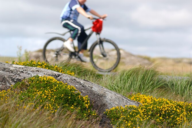 E-Bike on Inishbofin Island, Connemara Coast. Self Guided. Full Day. - Cancellation Policy