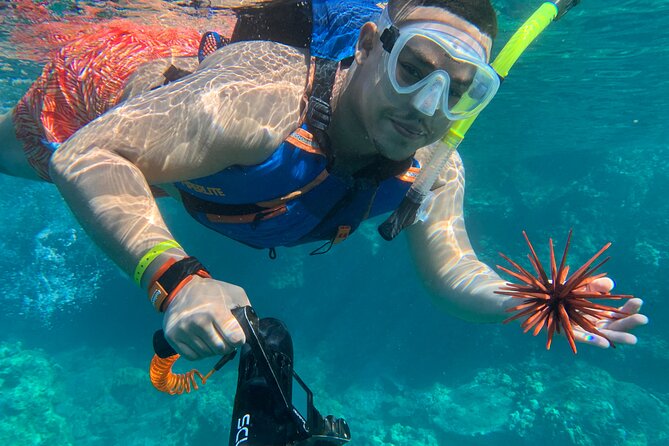 E-Scooter Snorkel With Photo and Video At Turtle Town - Common Questions