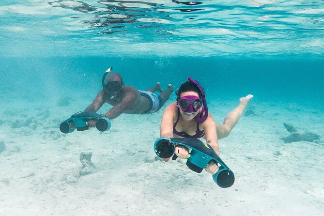 E-Snorkeling Tour in Bonaire With Easy Sea Scooters - Price and Booking