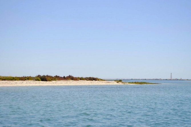 Eco Boat Tour in the Ria Formosa Lagoon From Faro - Tips for Enjoying the Eco Boat Tour