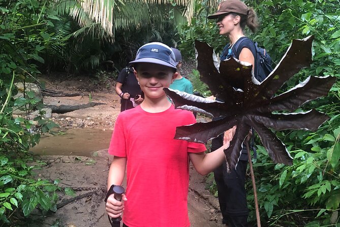 Ecohike Experience Through the Jungle, Mountains and Hidden Beach - Meeting and Pickup