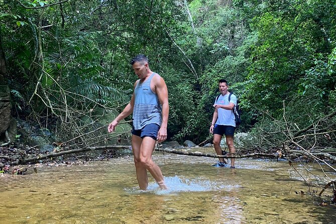 El Nogalito Mountain and Waterfall Half-Day Hiking Tour - Reviews