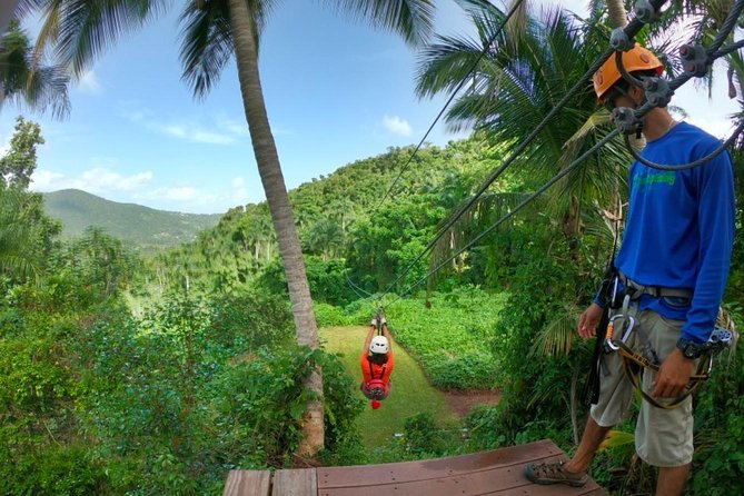 El Yunque National Forest Ziplining Experience  - Luquillo - Traveler Photos and Reviews