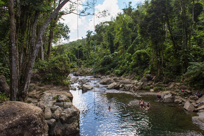 El Yunque Rainforest and Bio Bay Kayaking Combo Tour - Tour Duration and Cancellation Policy