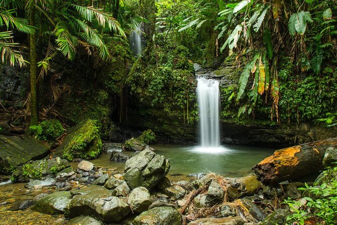El Yunque Rainforest Guided Tour - Directions to El Yunque Rainforest